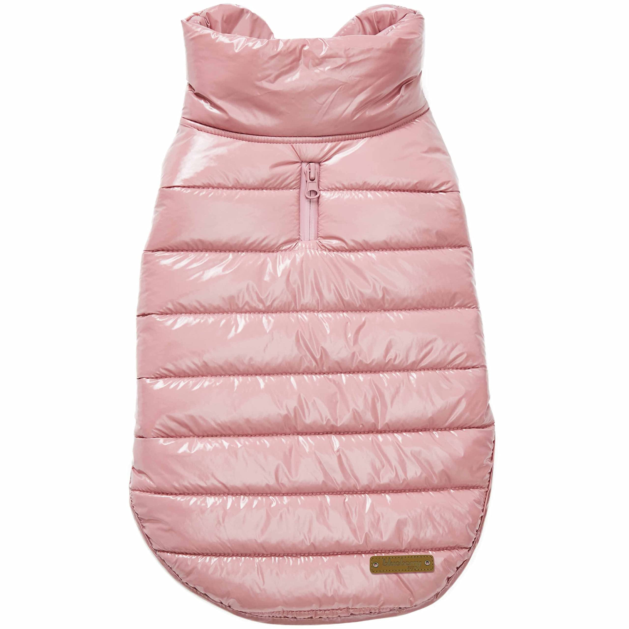 Blueberry Pet veste hiver matelassée coupe-vent – vue avant, chaleur légère