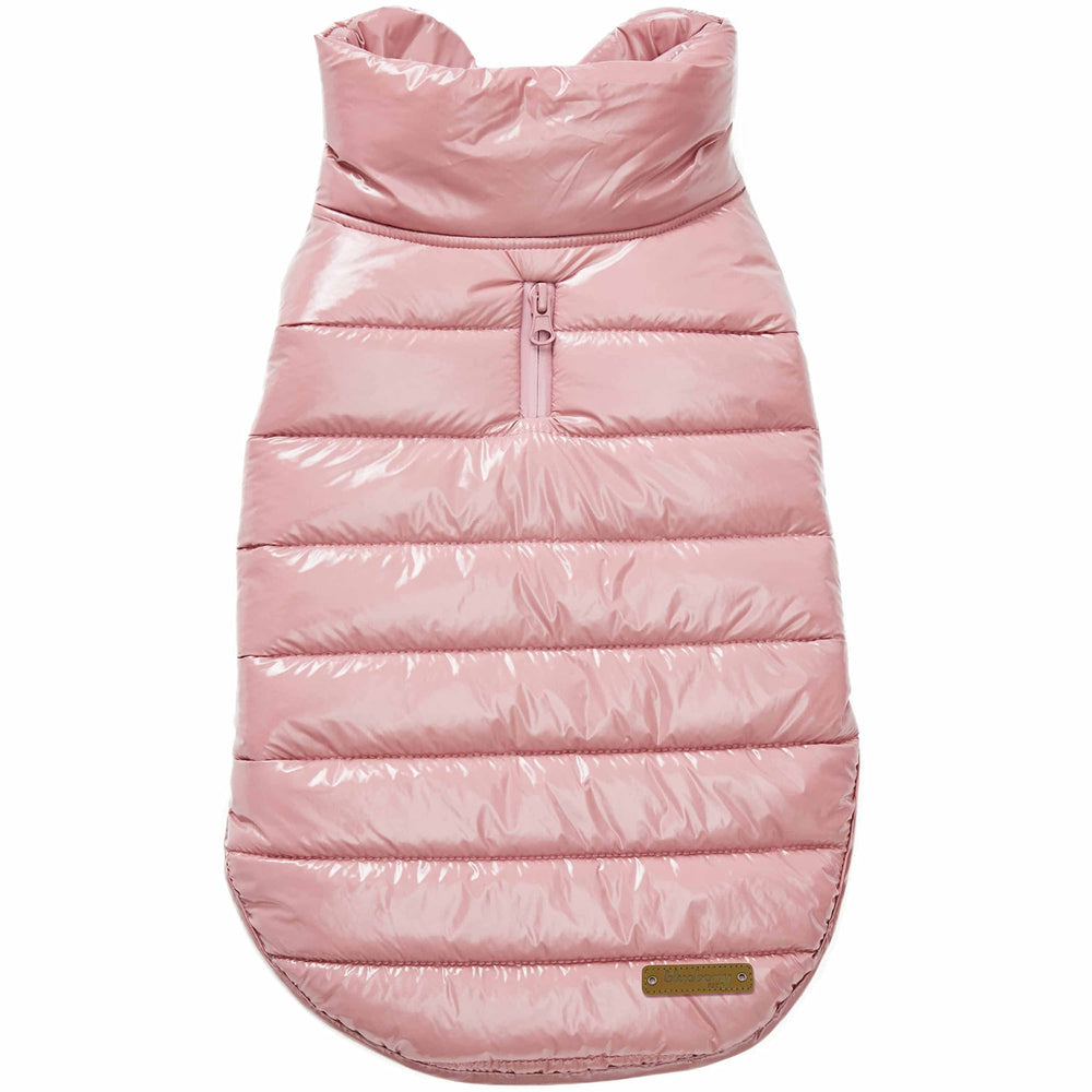 Blueberry Pet veste hiver matelassée coupe-vent – vue avant, chaleur légère