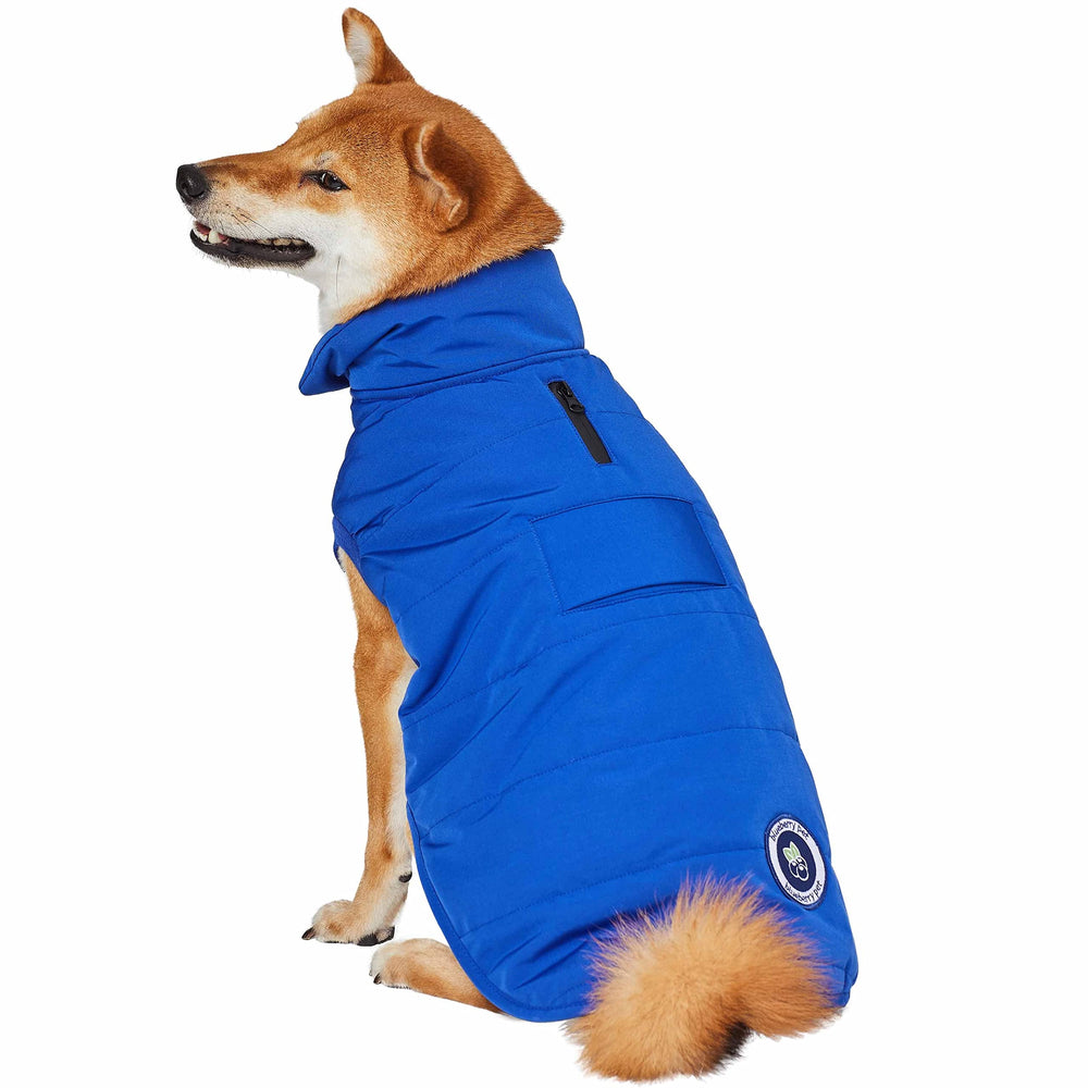 Veste d’hiver Blueberry Pet polyvalente pour chien, prêt pour sorties quotidiennes