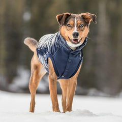 Veste puffer Blueberry Pet bleu nuit, trou pour laisse et harnais facilitant les sorties.