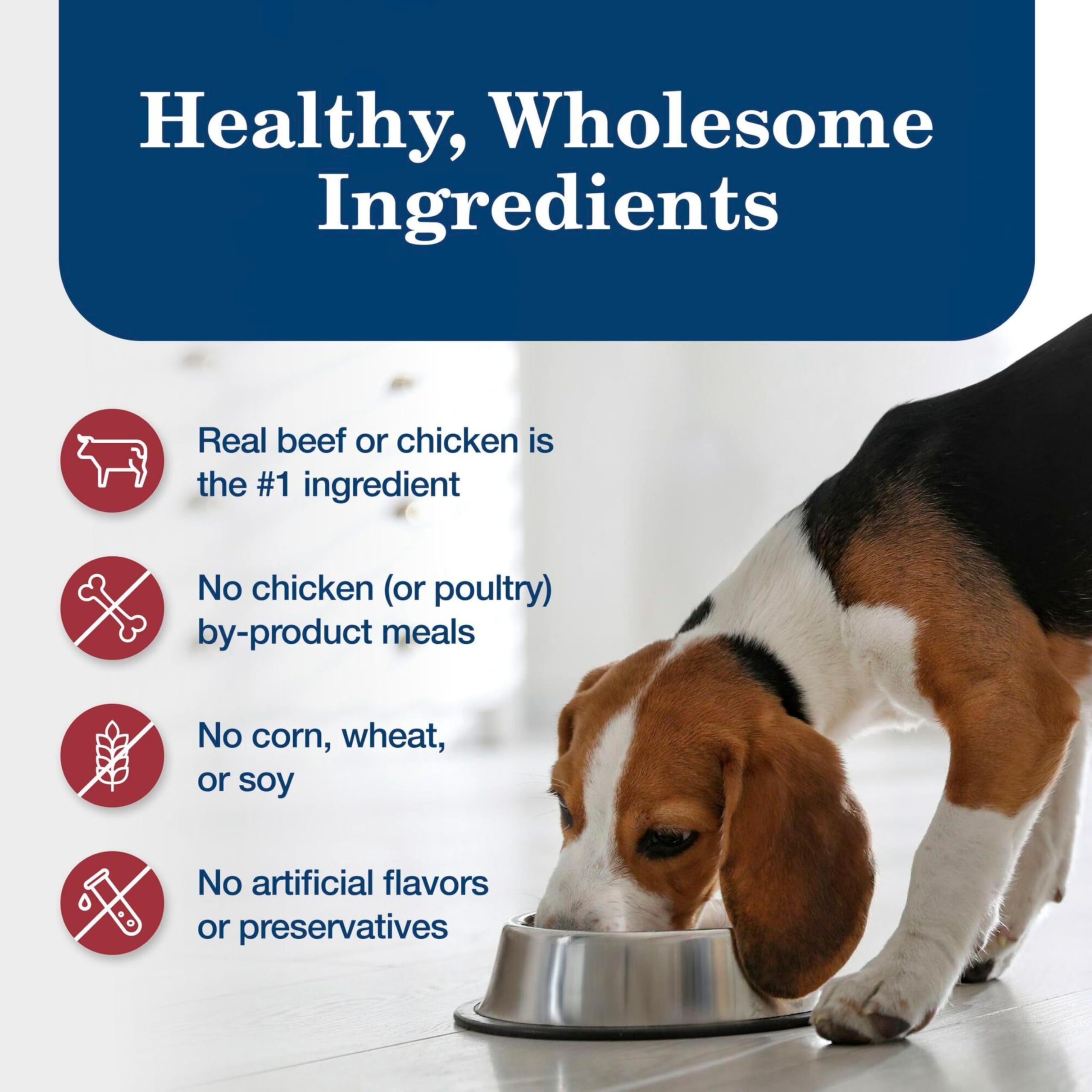 Blue Buffalo Homestyle: texture crémeuse idéale pour chiens difficiles