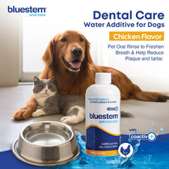 Bluestem Freshens eau dentaire poulet, usage quotidien pour bouche saine