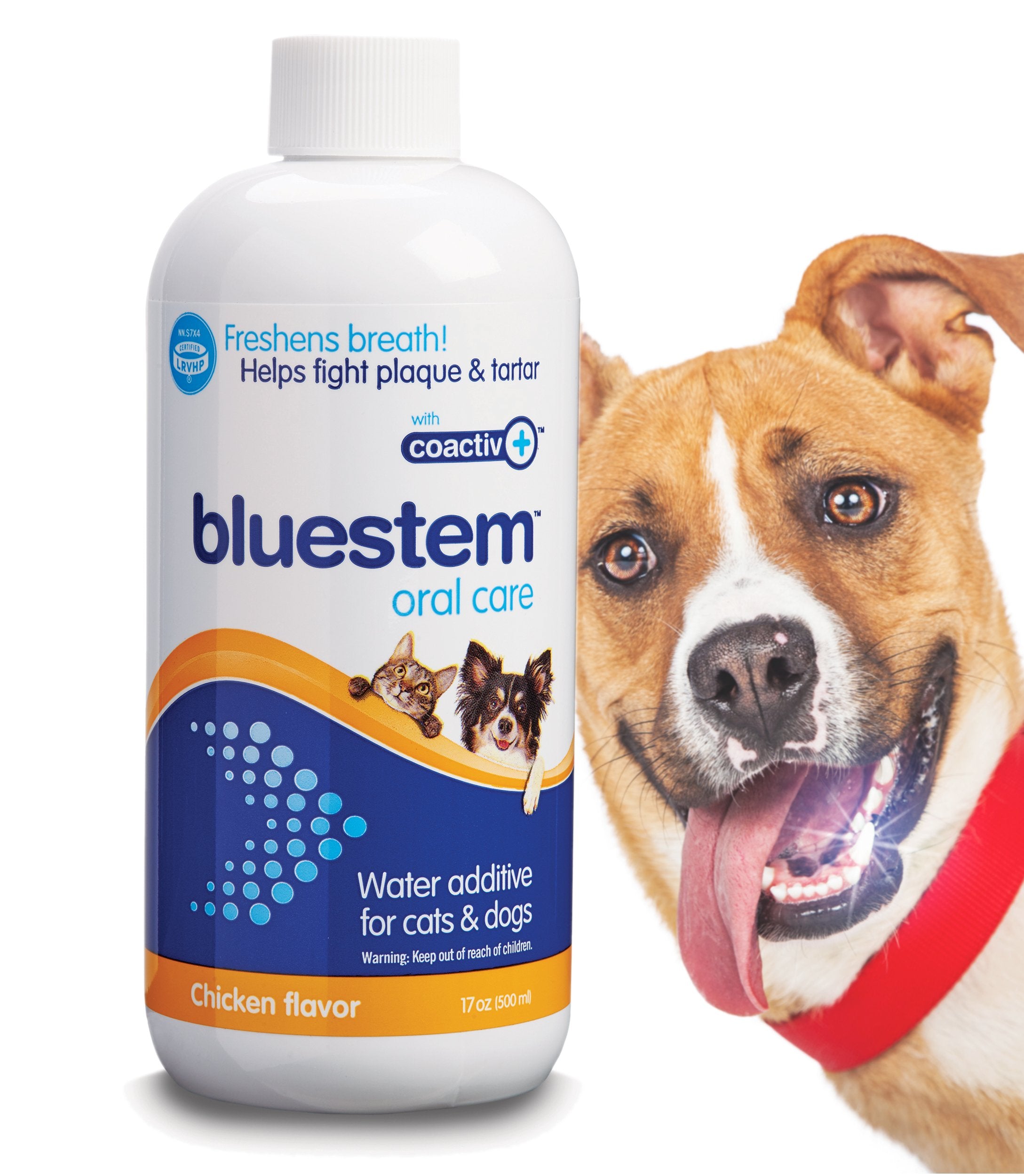 Bluestem Freshens haleine du chien et chat, flacon 17oz pour haleine plus fraîche