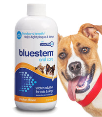 Bluestem Freshens haleine du chien et chat, flacon 17oz pour haleine plus fraîche