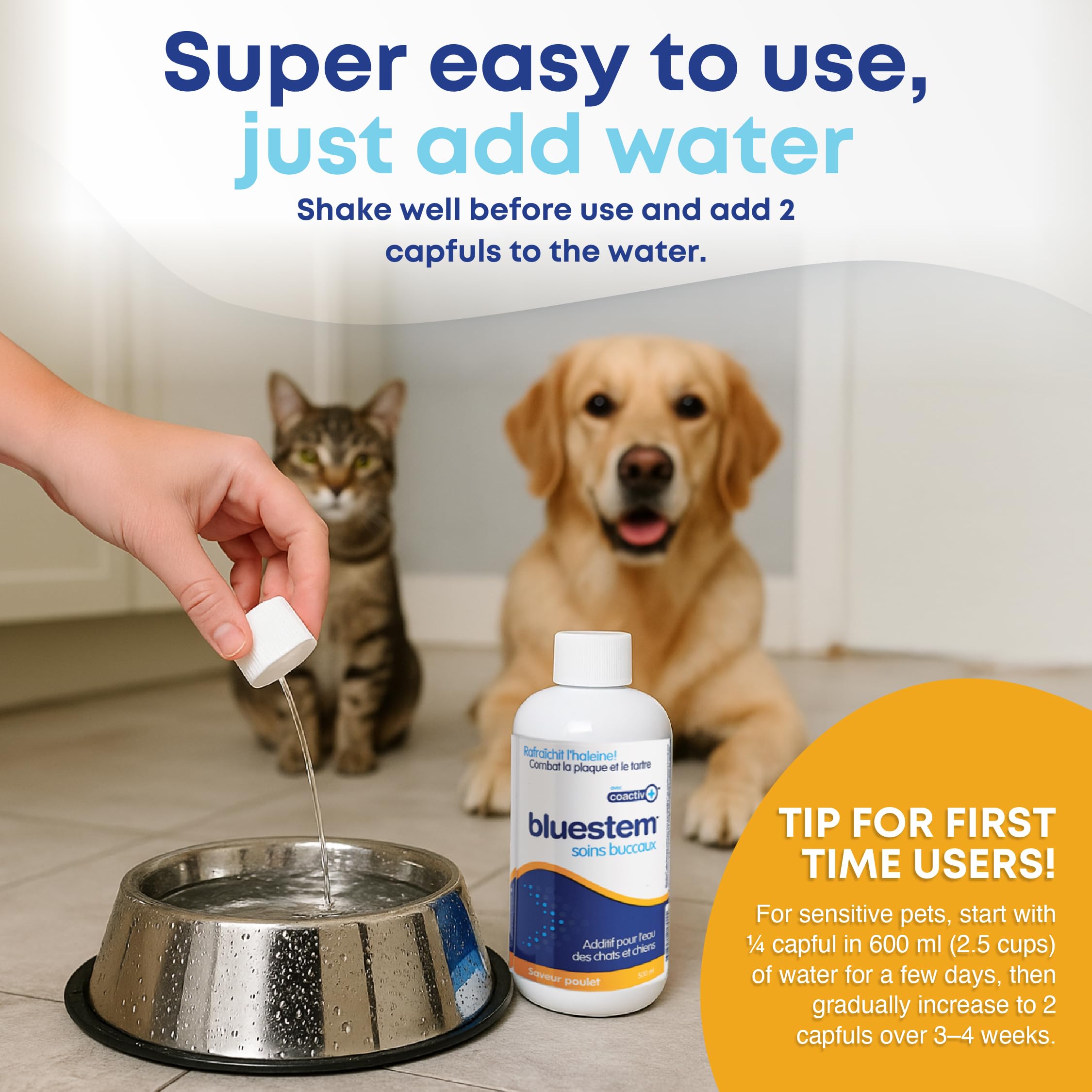 Bluestem Freshens usage quotidien adapté à toutes tailles chiens et chats