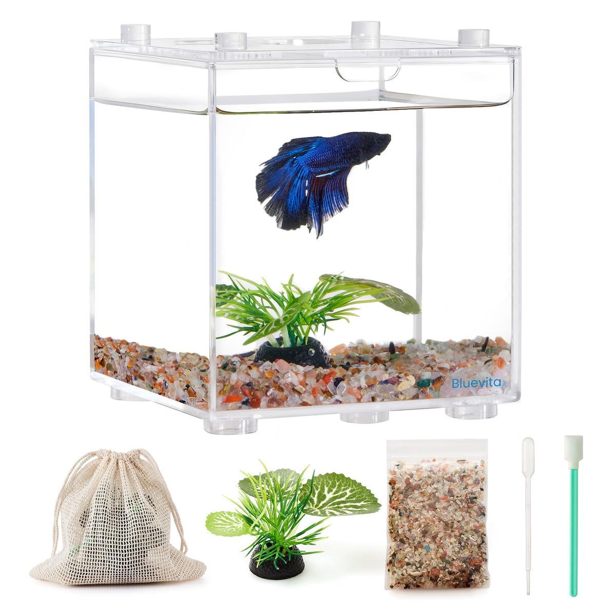 Bluevita boite isolante poisson 0,2 gallon pour observation rapprochée des animaux aquatiques.