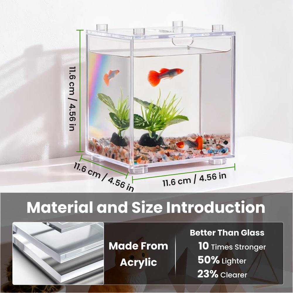 Bluevita plantes artificielles et gravier pour un décor naturel sans entretien.