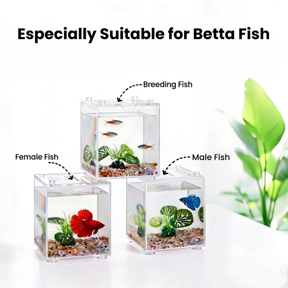 Bluevita siphon et sac aéré pour déplacements et changements d'eau simples.