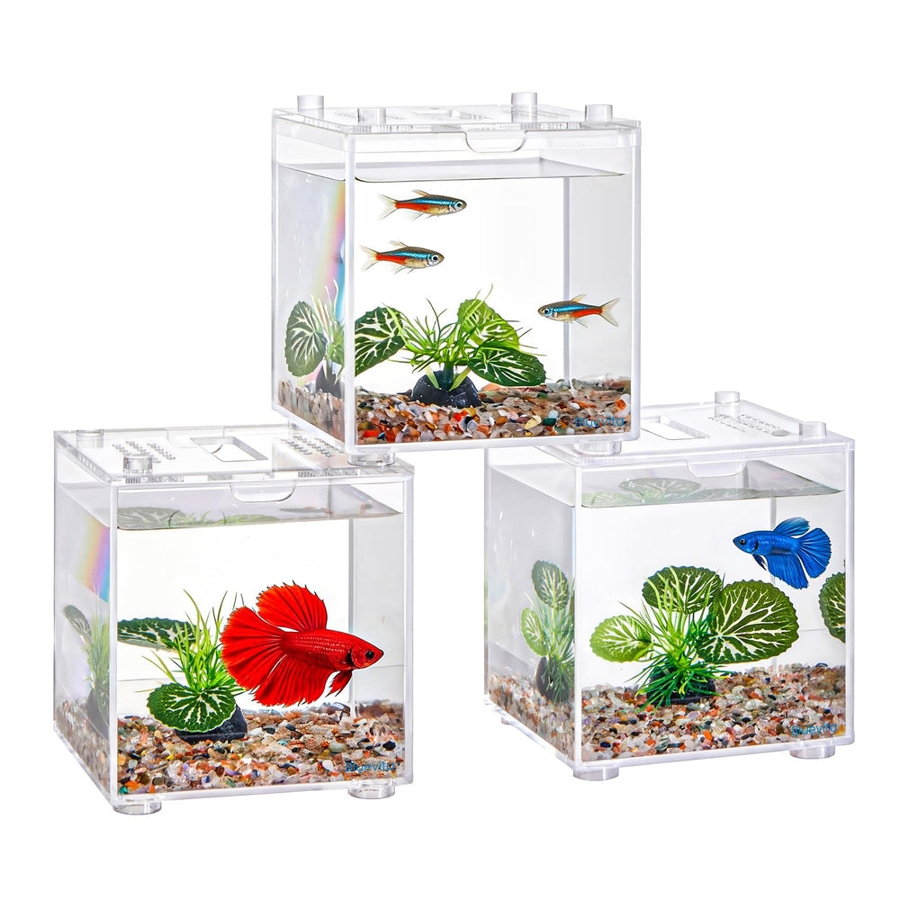 Bluevita tank hospitalier poisson malade pour isolement temporaire et surveillance facile.