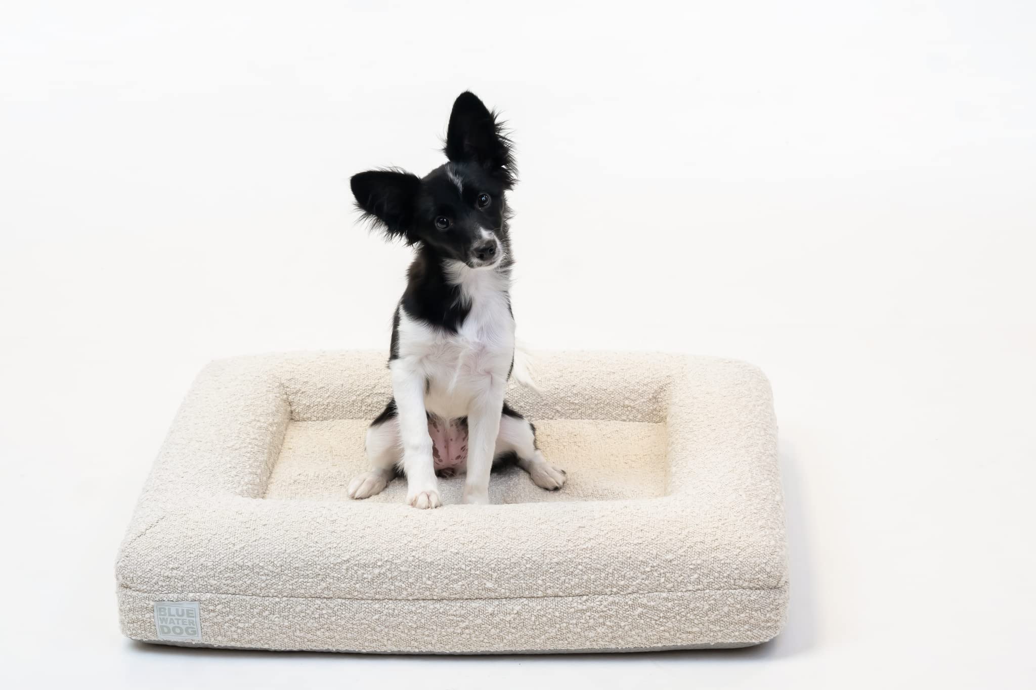 Base antidérapante Bluewater Dog assure stabilité sur sols variés.