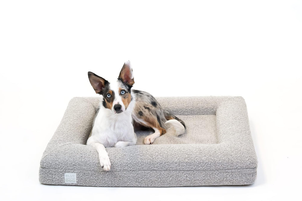 Bluewater Dog couverture bouclée orthopédique pour repos et confort