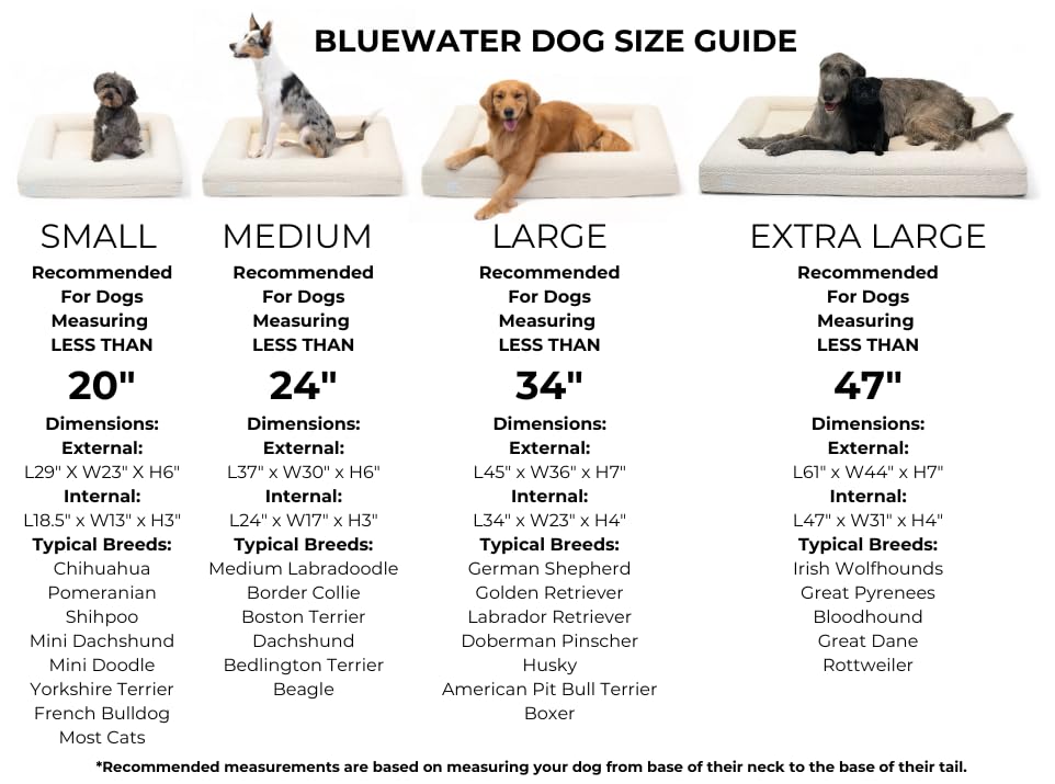 Bluewater Dog housse bouclée lavable, style élégant et entretien facile