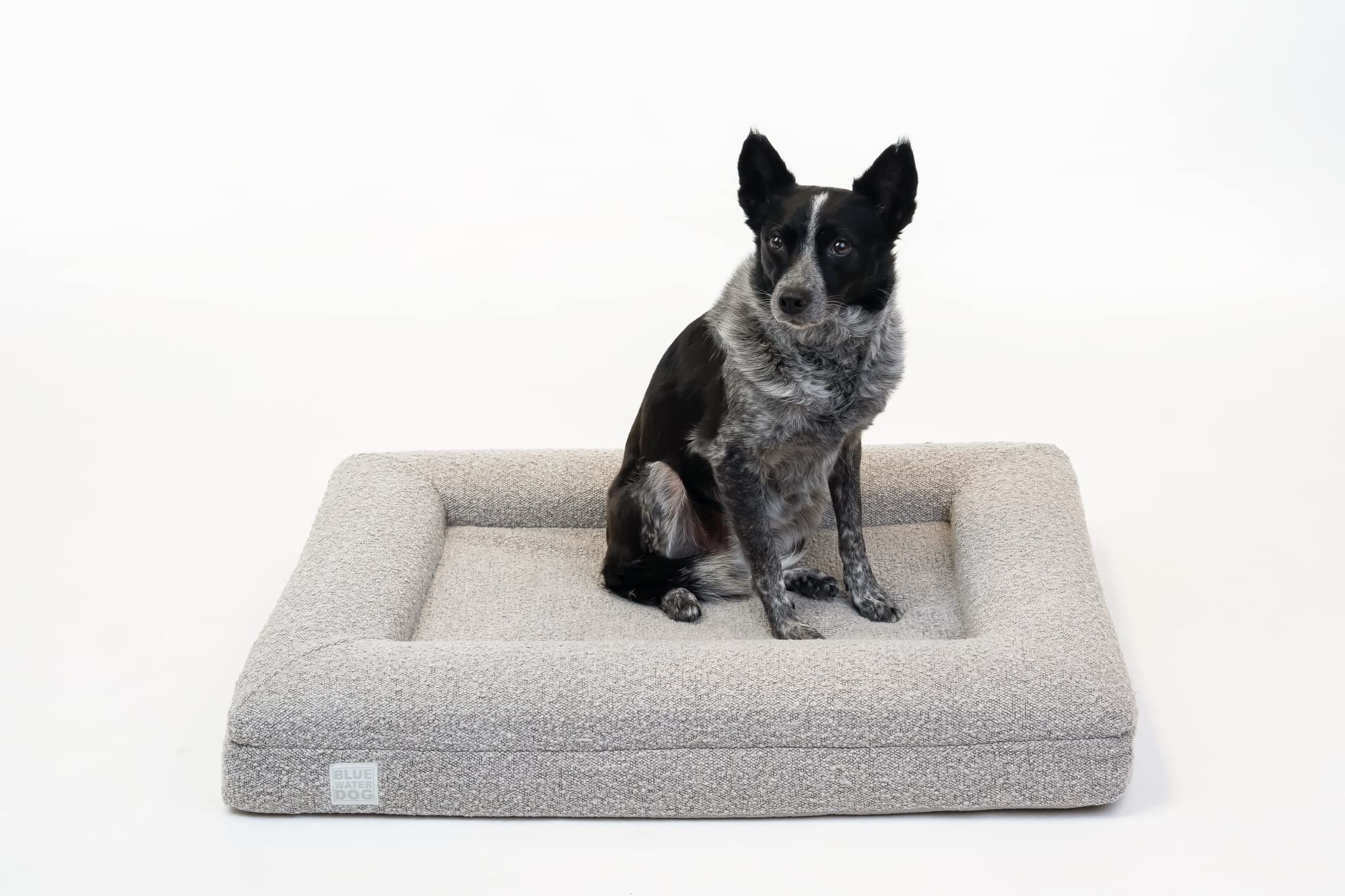 Bluewater Dog memoire de forme certipur-us offre un confort durable