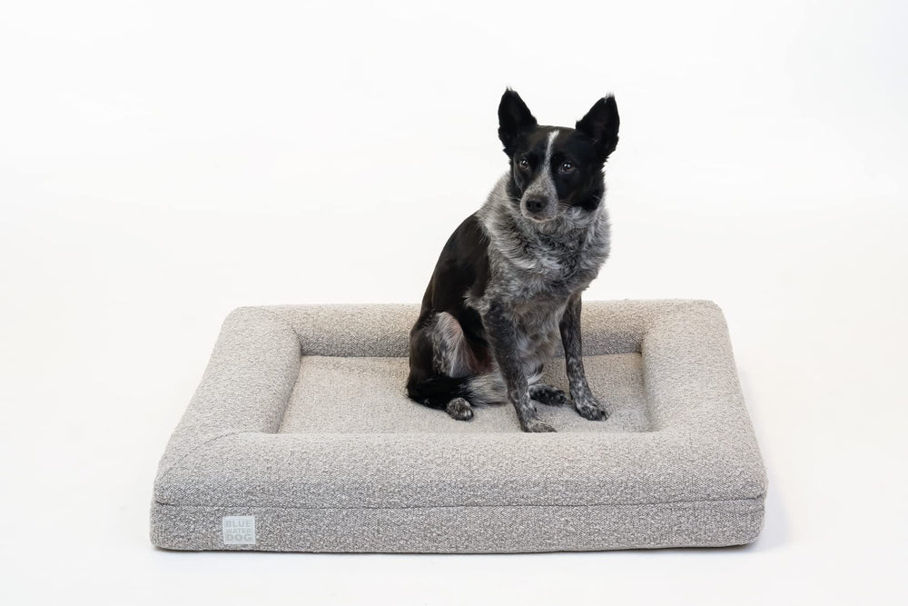 Bluewater Dog memoire de forme certipur-us offre un confort durable