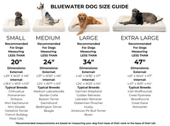 Mousse orthopédique CertiPUR-US Bluewater Dog, soutien durable sans métaux lourds.