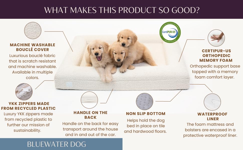 Bluewater Dog poignee transport pratique pour déplacer facilement