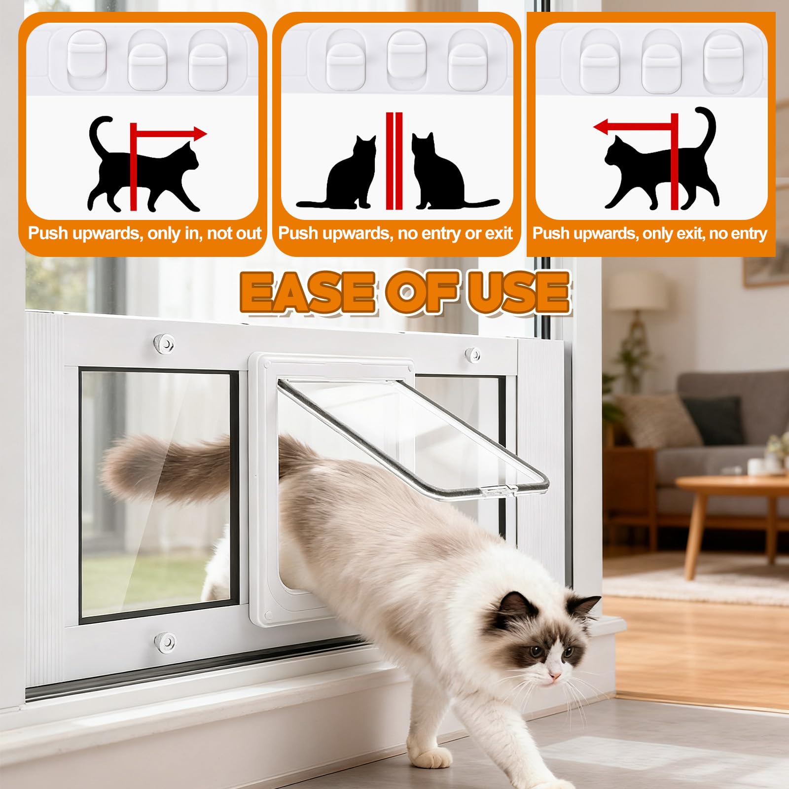 Porte-chat Blulu avec quatre modes de verrouillage pour contrôler l’accès.