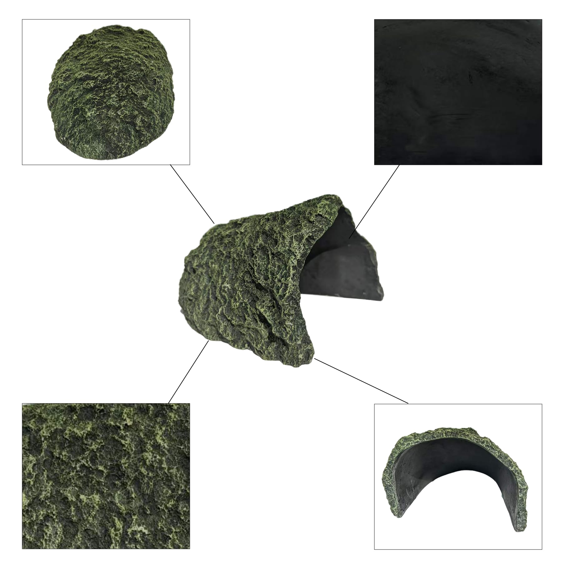 BLWAFY resine durable et realiste, integre au decor du terrarium.