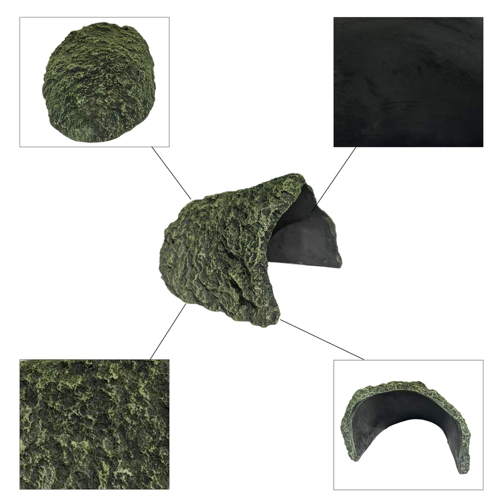 BLWAFY resine durable et realiste, integre au decor du terrarium.