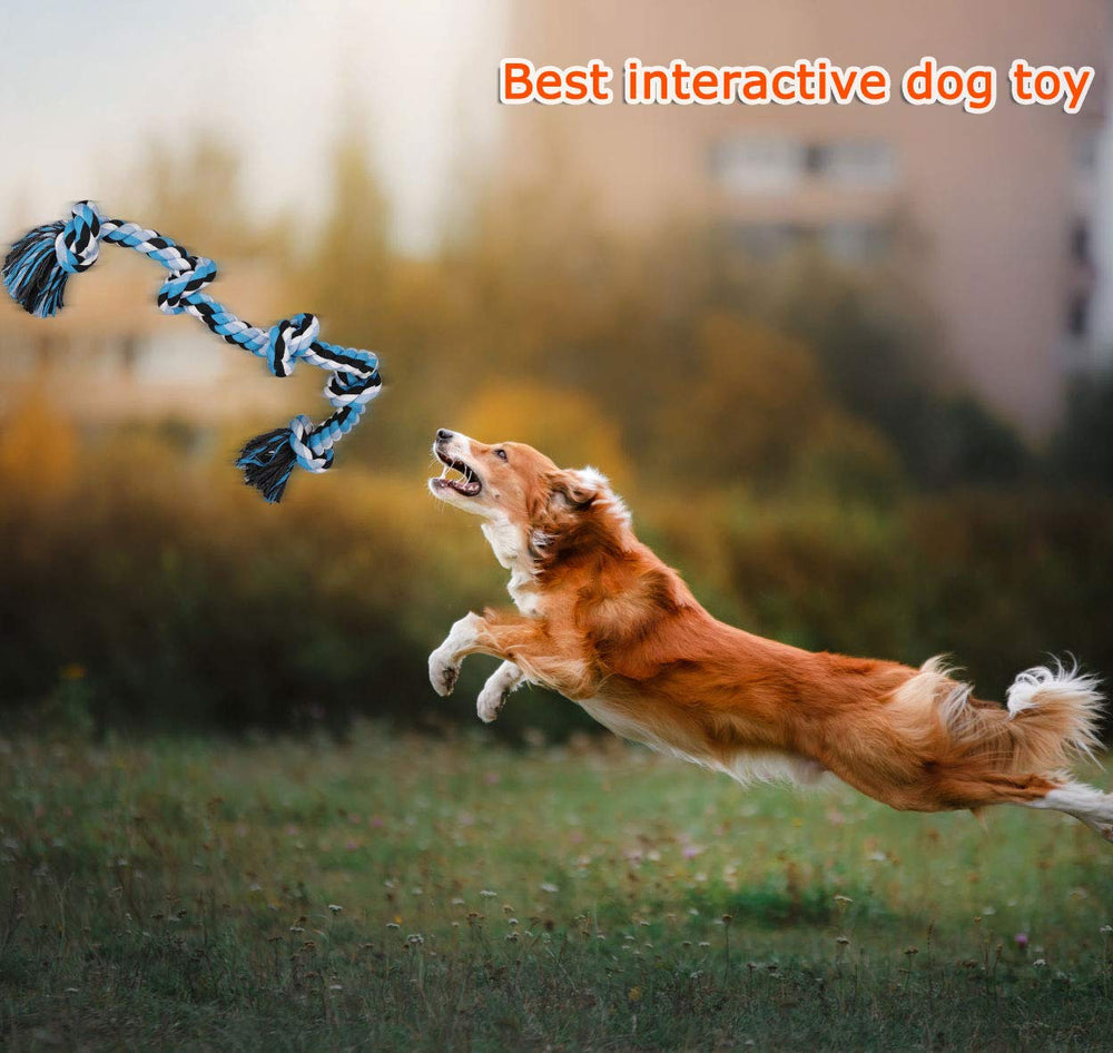 Cadeau idéal Bmag jouet robuste pour chiens actifs et joueurs.