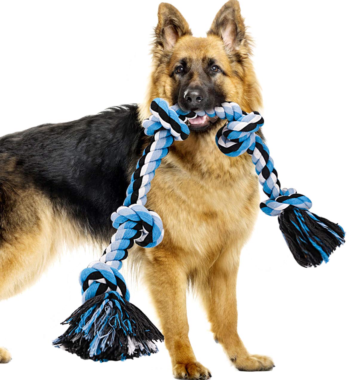 Corde Bmag robuste avec 5 noeuds bleue, idéale pour mâcher en sécurité.