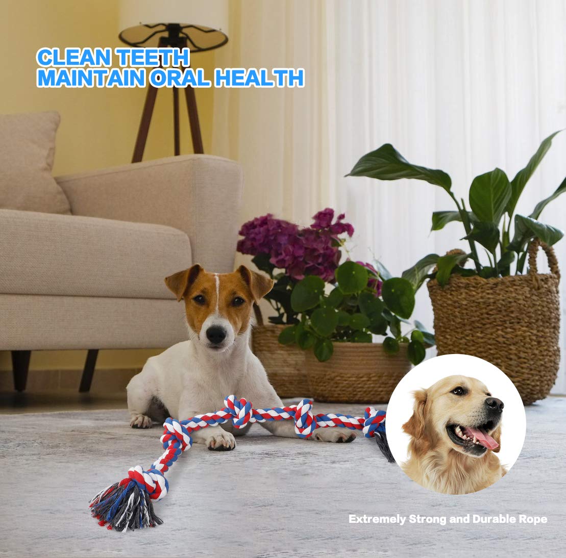 Corde Bmag tirage-interaction chien rouge, favorise le jeu avec votre chien.