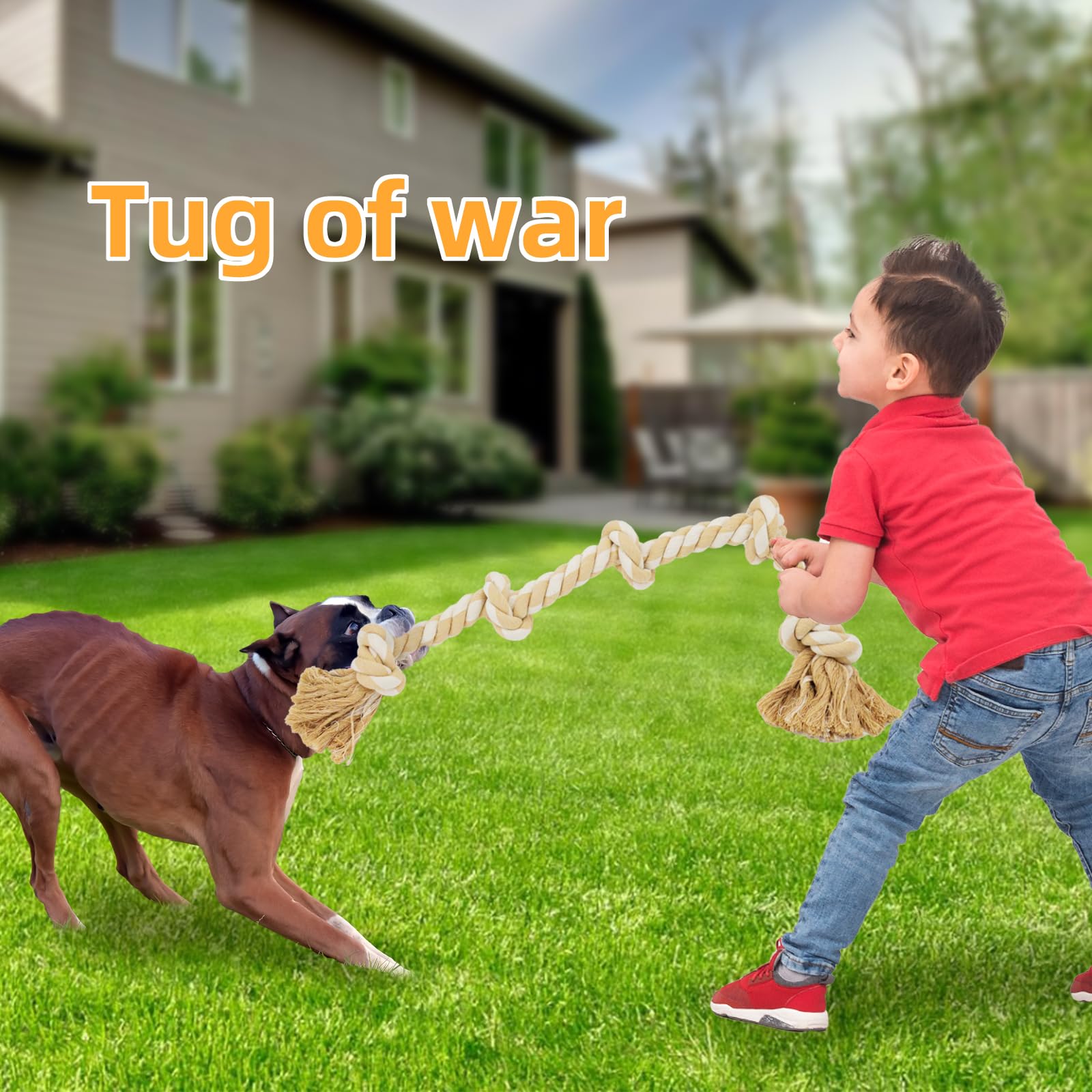 Jouet corde Bmag cadeau idéal pour chien joueur et actif