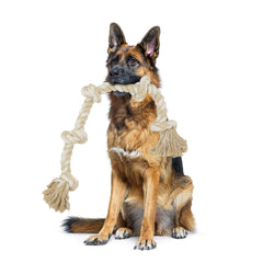Jouet corde robuste Bmag avec 5 nœuds pour chiens mordeurs