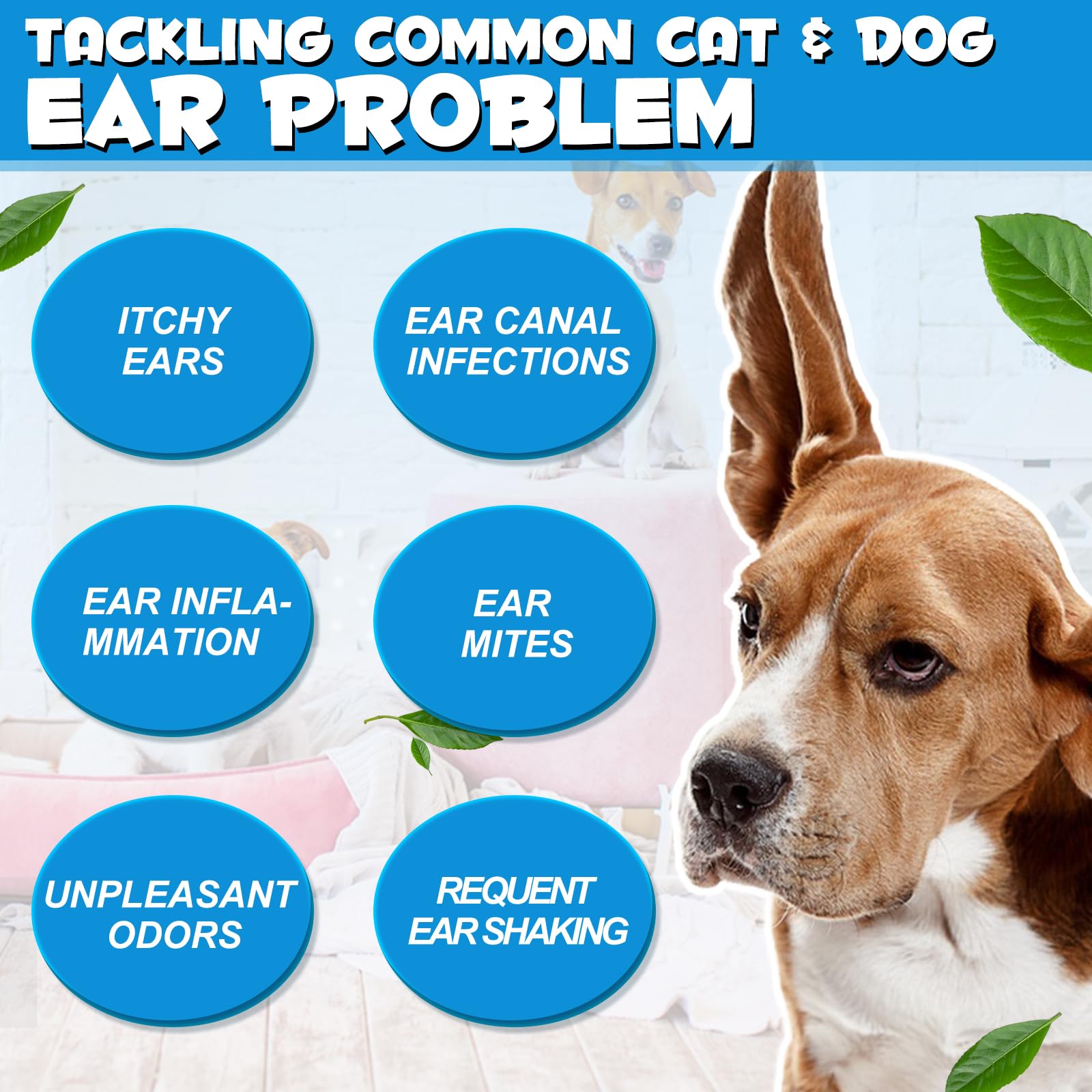 bnHUlMXw oreilles-chien-application-douce: pratique pour les chiens.
