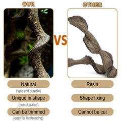 Branche bois naturelle BNOSDM, robuste et sans danger pour les reptiles.