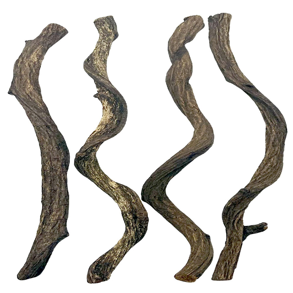 BNOSDM Branche-escalade foret naturelle, surface idéale pour grimper et explorer.