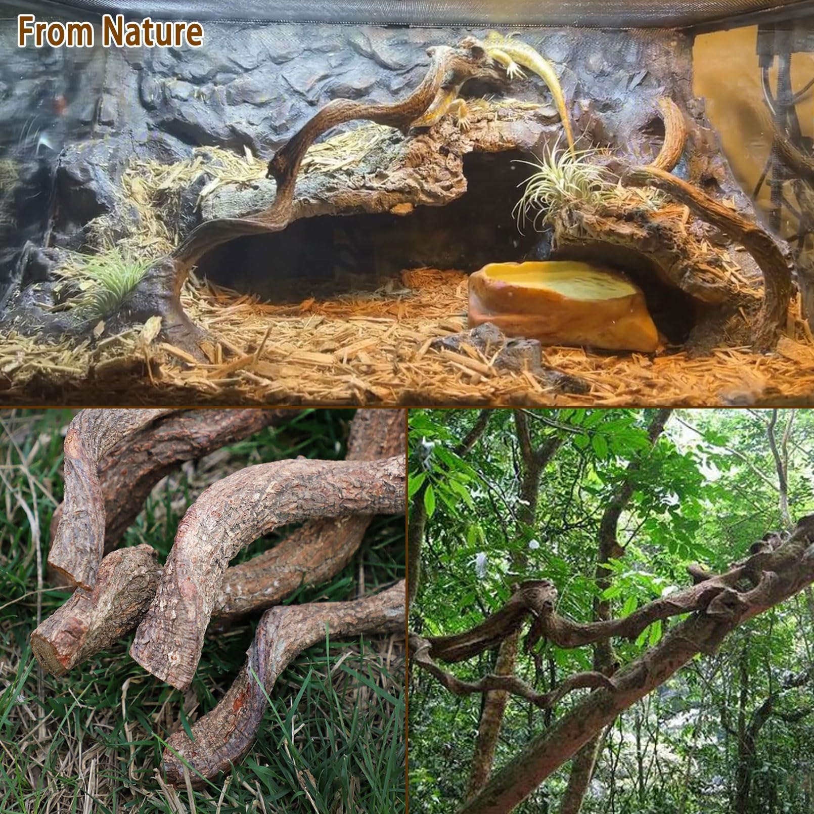 BNOSDM Branche escalade reptile douce, favorise l exercice quotidien des animaux.