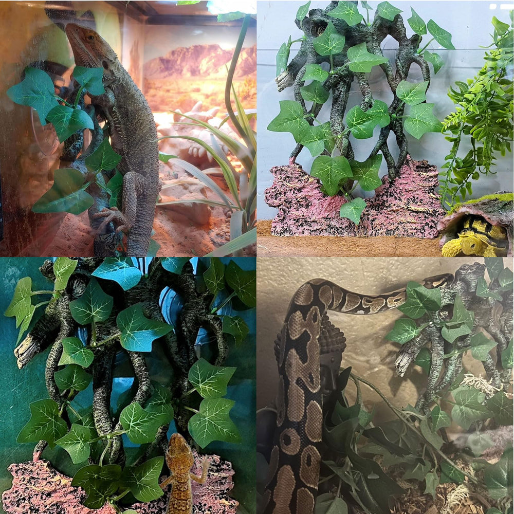 BNOSDM habitat-relaxation-reptile invite au repos après l'exploration