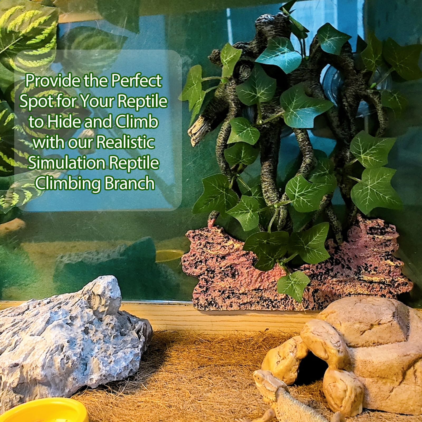 BNOSDM structure-racines-reptile apporte stabilité et activité physique naturelle