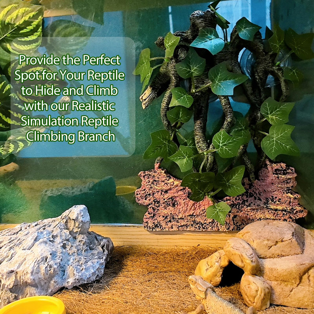 BNOSDM structure-racines-reptile apporte stabilité et activité physique naturelle