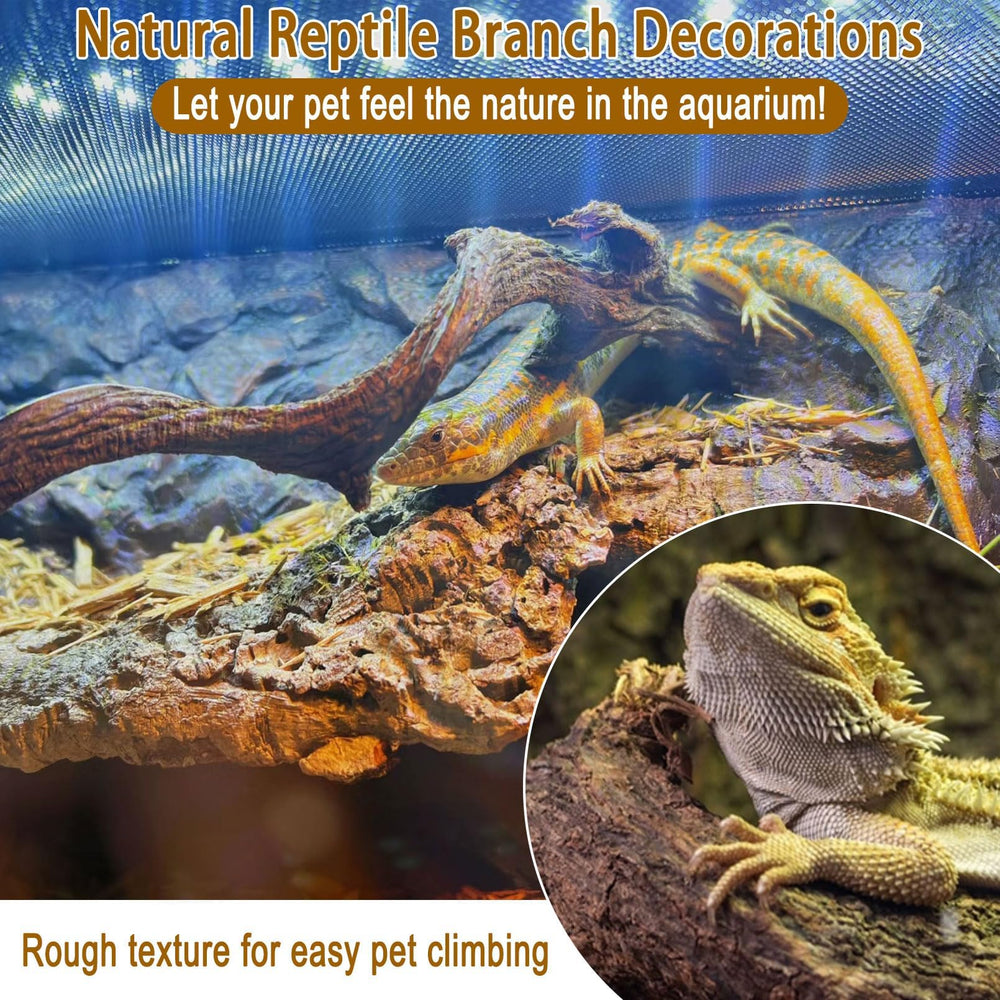 BNOSDM Branche terrarium grimpe naturelle, offre un perchoir sûr et stable.
