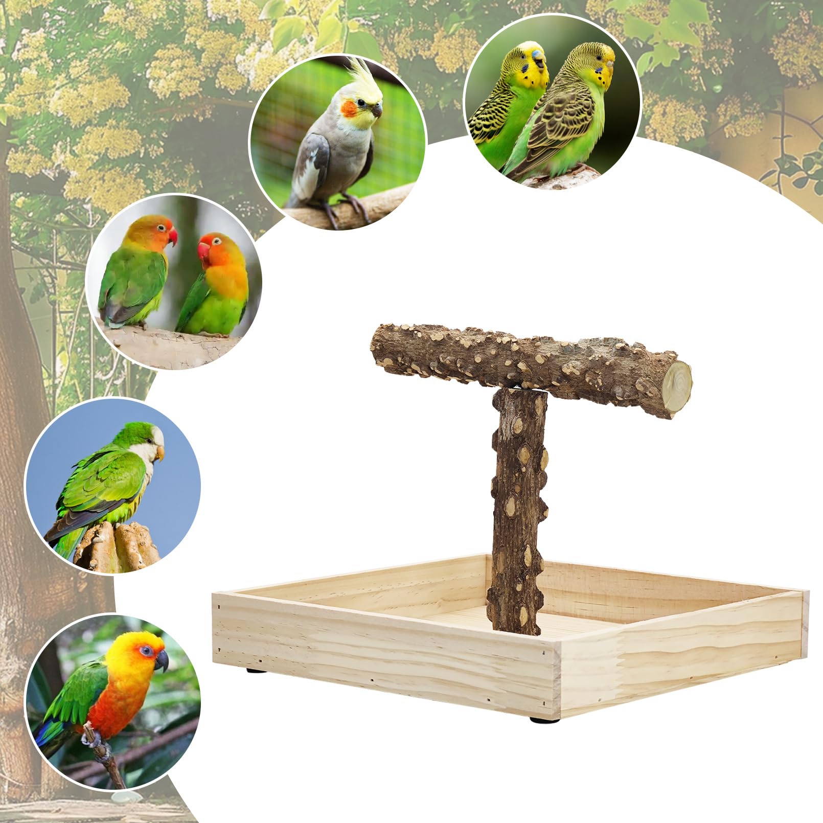 BNOSDM cadeau-oiseau perroquets, parfait pour les compagnons à plumes.