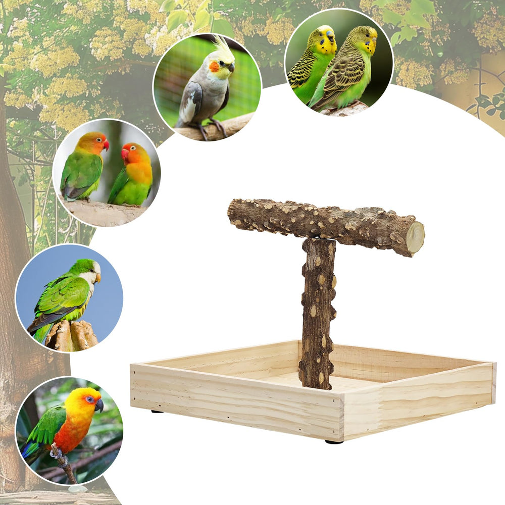 BNOSDM cadeau-oiseau perroquets, parfait pour les compagnons à plumes.