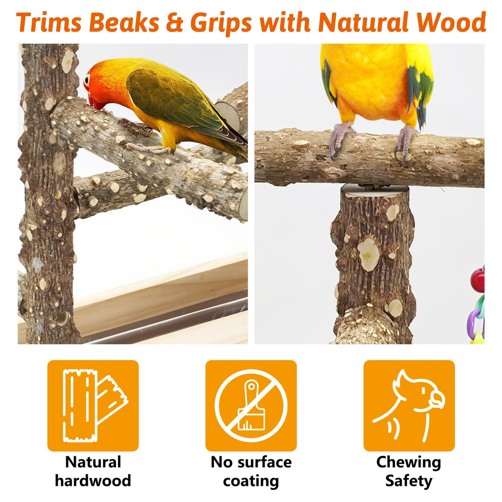 BNOSDM cuves en inox pour nourrir facilement votre oiseau.