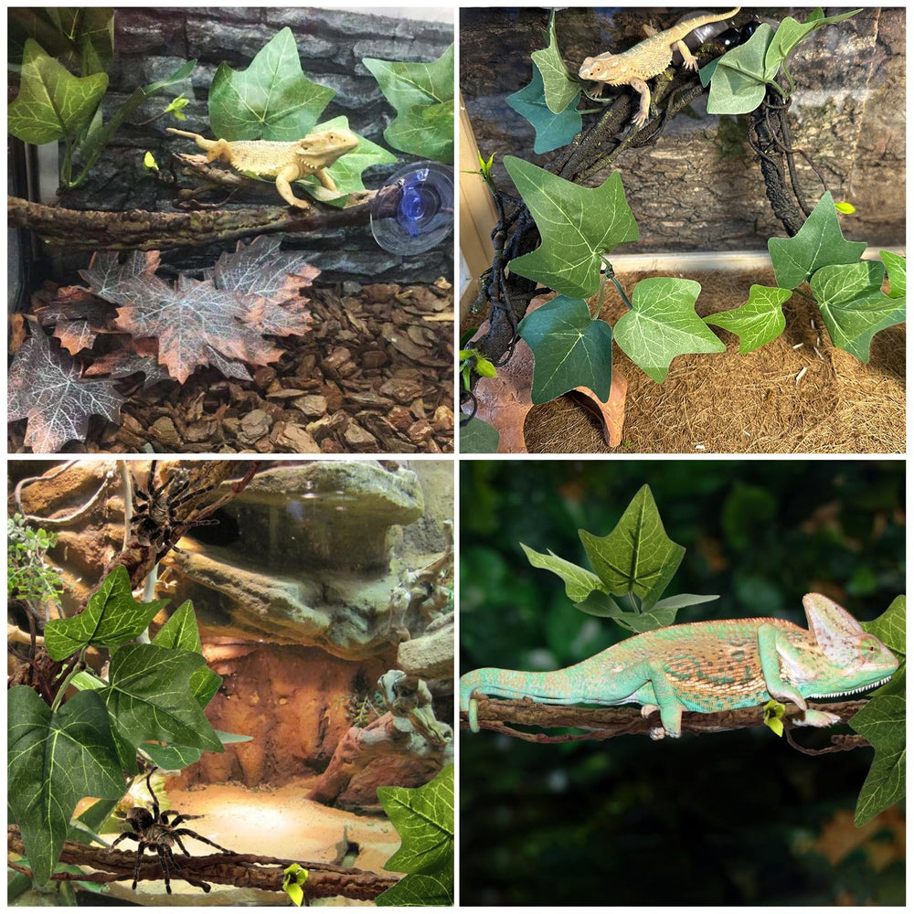 BNOSDM ensemble de branches et ventouses pour fixation rapide dans le terrarium.
