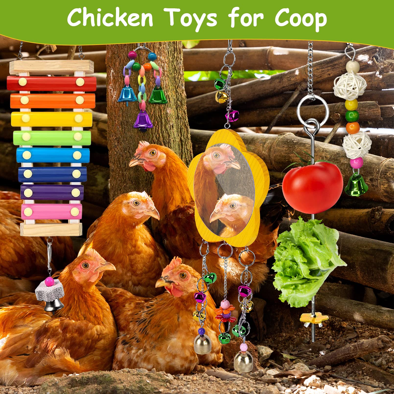 BNOSDM ensemble accessoires poules – kit ludique et polyvalent pour le poulailler
