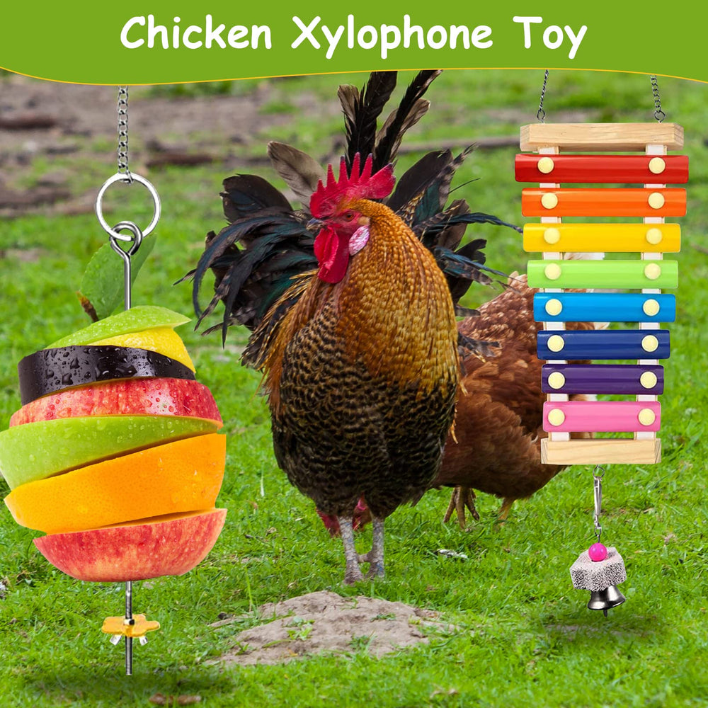 BNOSDM kit poules-coop – ensemble d’accessoires coopératifs pour divertissement