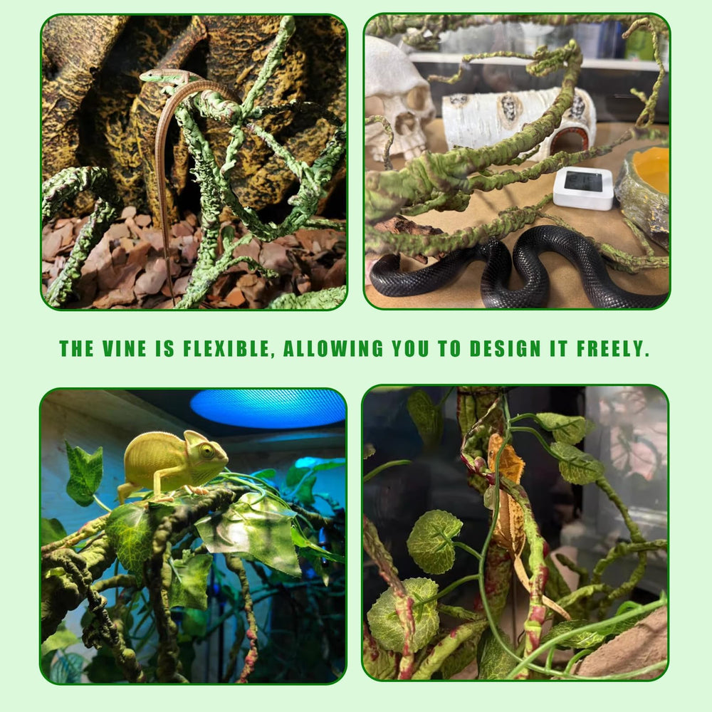BNOSDM Reptile Jungle Vine, courbes adaptables pour parcours personnalisés.
