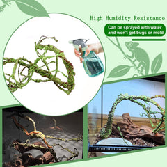 BNOSDM Reptile Jungle Vine, longueur 110 cm, couleur durable.