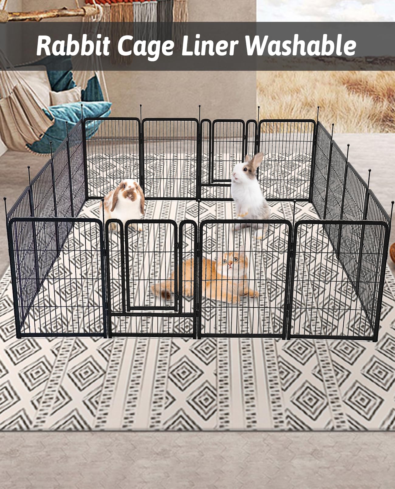 BNOSDM service client réactif: assistance pour questions sur le tapis cage.