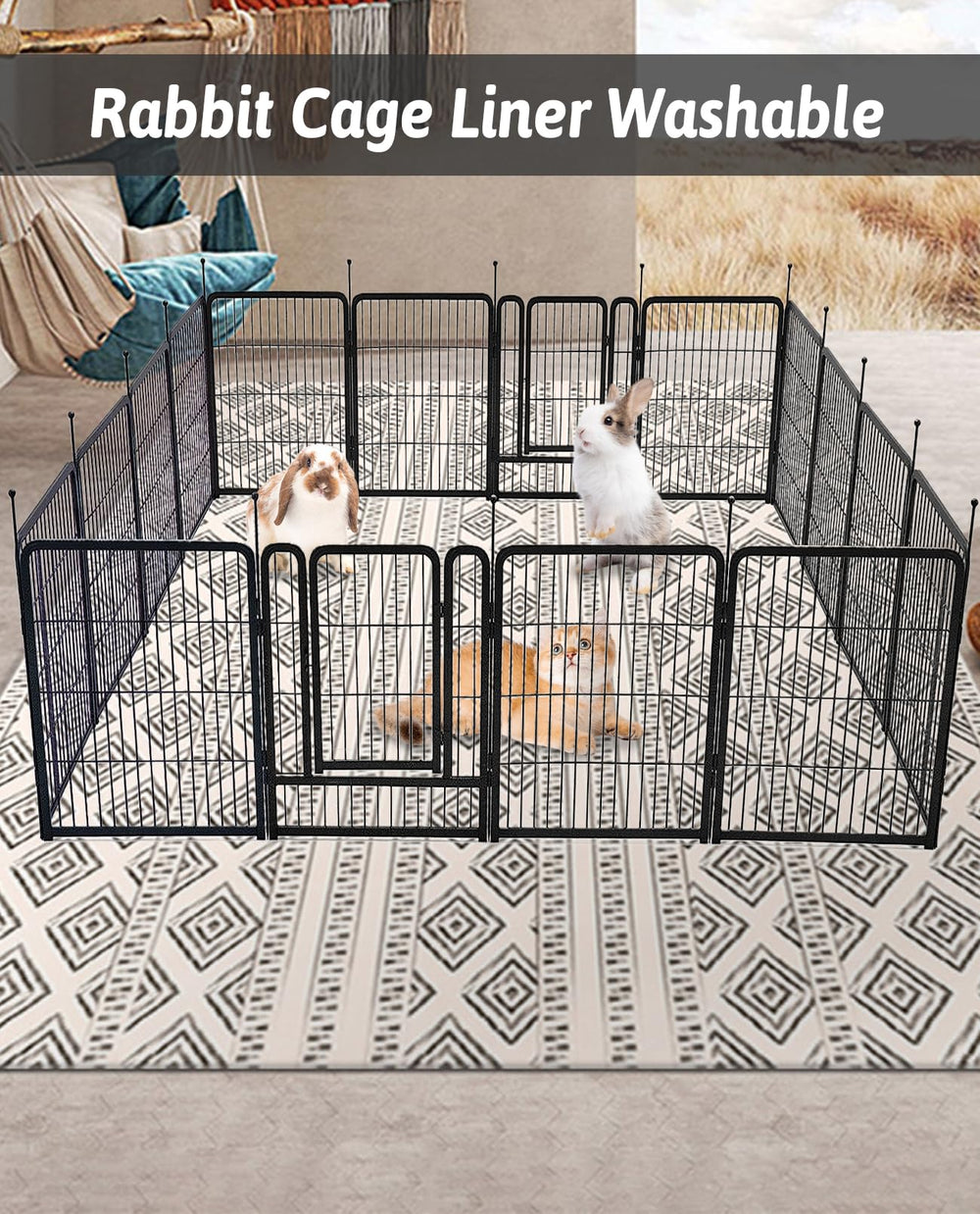 BNOSDM service client réactif: assistance pour questions sur le tapis cage.
