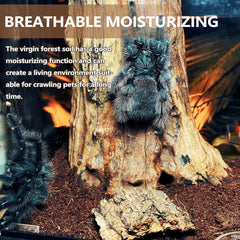 BNOSDM substrat creusement naturel, stimule le comportement de fouille chez les petits espece.