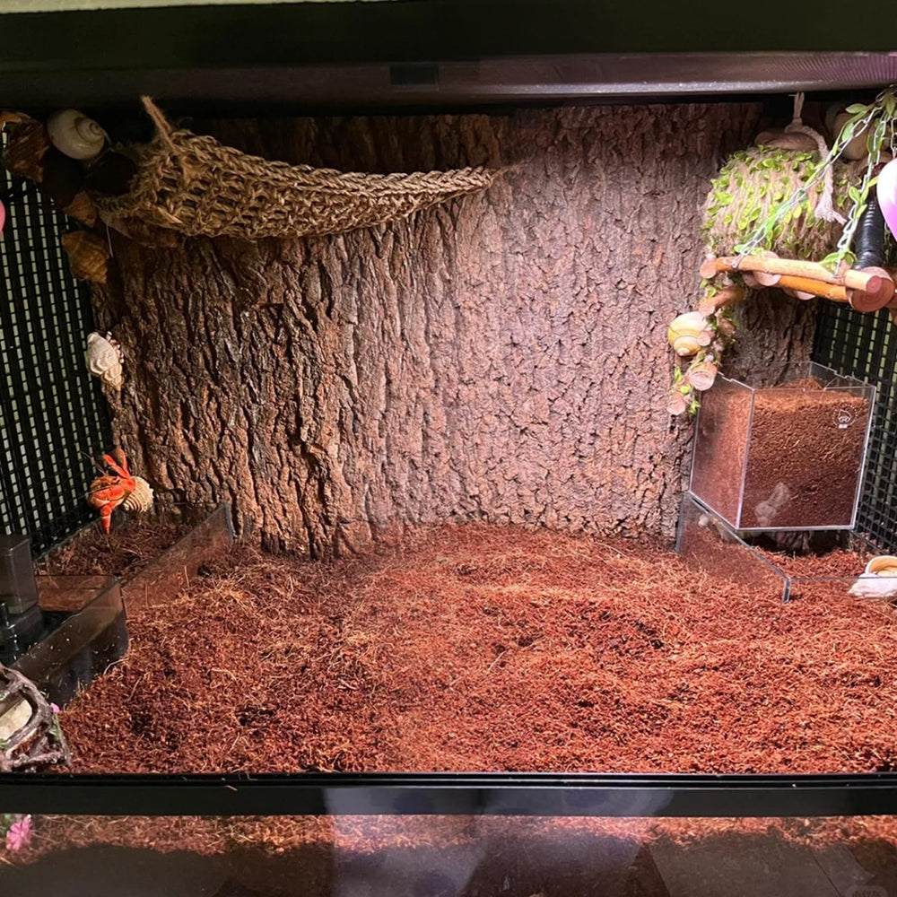 BNOSDM substrat terre reptile geckos-lezards, convient pour geckos et lezards.