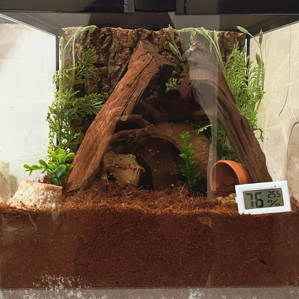 BNOSDM substrat terre reptile serpents-tortues, options polyvalentes pour plusieurs especes.