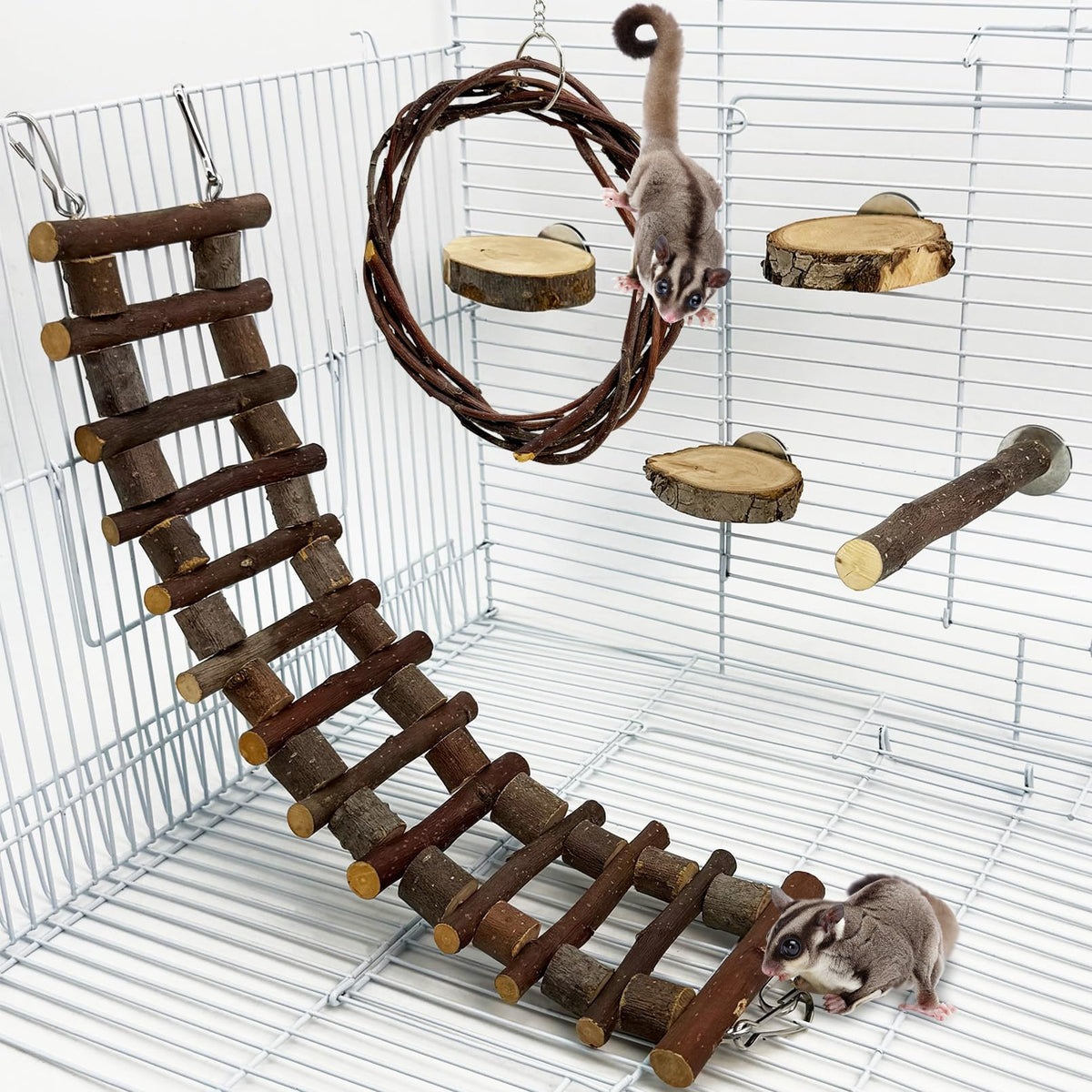BNOSDM Sugar Glide : échelle en bois pour cage, favorise l exercice quotidien.